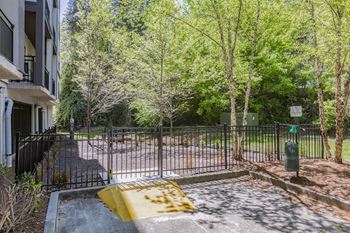 Bark park