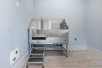 Pet washing station
