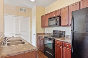 Rockwall apartment for rent - Apartment kitchen showing appliances and sink area.