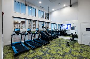 Duluth apartment for rent - A gym with treadmills and exercise bikes.