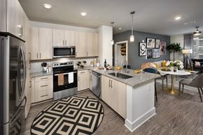 Suwanee apartment for rent - light color kitchen cabinets