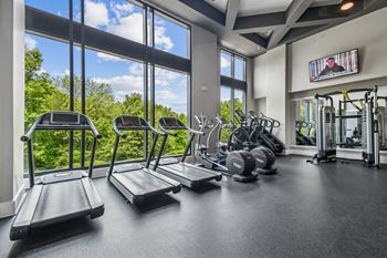 Wellness center with technogym cardio machines