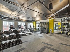 Woodbridge apartment for rent - A gym with a variety of equipment including treadmills, weights, and exercise machines.
