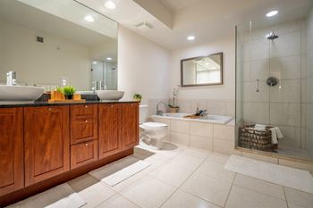 Waterfall showerhead & oversized soaking tubs