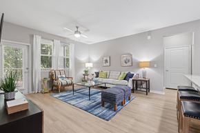 Clearwater apartment for rent - A living room with a blue rug and a white couch.