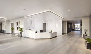 Springfield apartment for rent - A reception area with a white reception desk and a plant on the left.