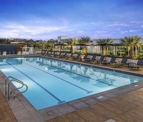 San Diego apartment for rent - A large outdoor swimming pool with lounge chairs and palm trees in the background.