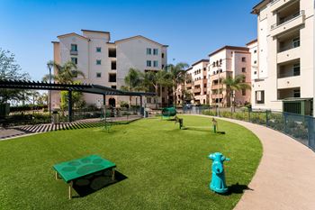 Dog park with agility equipment and fire hydrant