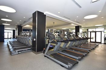 Cardio room with rows of treadmills