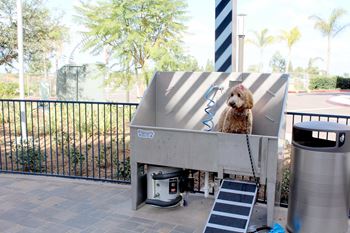 Dog washing station with elevated tub and ramp