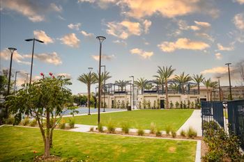 Courtyard with lawn and modern clubhouse building