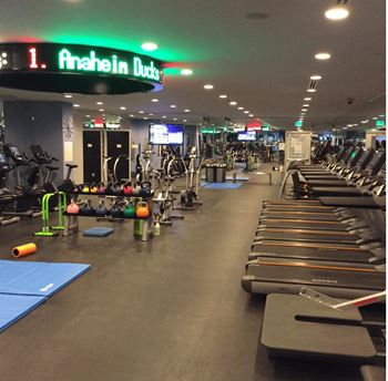 Fitness center with treadmills and training equipment