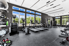 Roseland triplex for rent - A gym with a variety of equipment including treadmills, weights, and exercise machines.