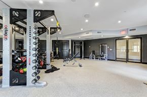 Hackensack apartment for rent - A gym with a variety of equipment including dumbbells and weight plates.
