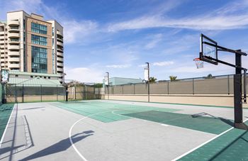 Basketball court