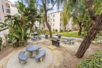 Bbq & picnic area