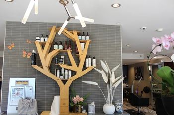 Salon interior with tree shaped shelving display