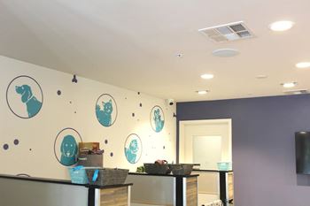 Pet care facility with animal silhouette wall decals