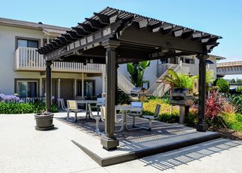 Bbq & picnic area