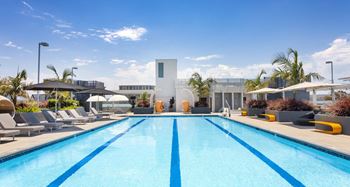 Rooftop pool with lap lanes and lounge chairs