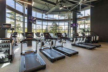 Cardio area with treadmills and floor to ceiling windows