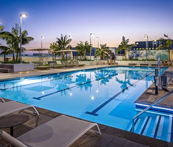 Rooftop lap pool at dusk with palm trees
