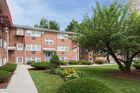 Elizabeth apartment for rent - A tree in front of a brick building with a walkway in front of it.