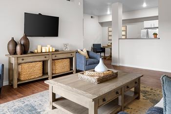 Wood-style flooring entry foyers