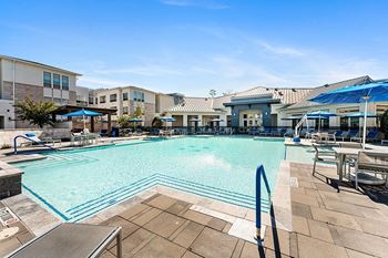 Resort-style saltwater swimming pool with sunning ledges