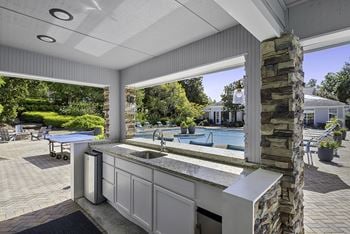 Outdoor kitchen and recreation area