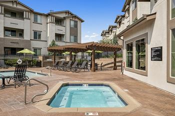 Stunning pool and spa