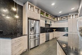 St. Petersburg apartment for rent - Axio at Carillon clubhouse kitchen