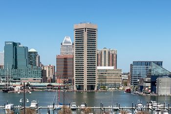 Incredible location close to everything baltimore has to offer