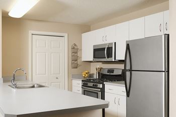 Stainless steel appliances