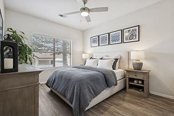Abundant windows with blinds