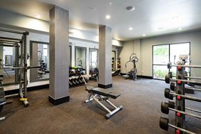 Alpharetta apartment for rent - The Juncture Apartments free weights area