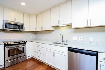 Modern kitchens with granite countertops and under-mounted double-basin sinks