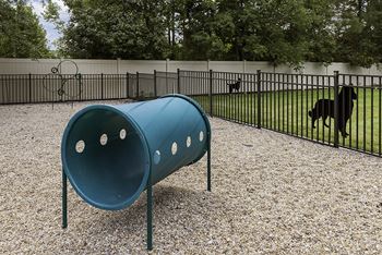 Fenced paw park