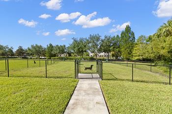 Dog park