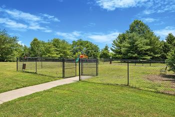 Dog park