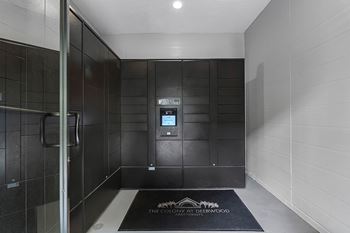 Electronic parcel locker system