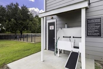 Pet grooming station
