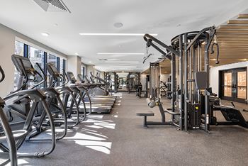 State-of-the-art fitness centers