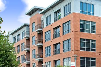 The sheffield sono balconies/terraces