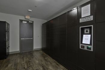 Electronic parcel locker system