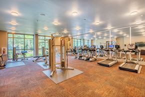 North Charleston apartment for rent - Centre Pointe Apartments fitness center