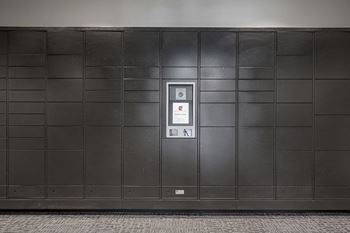 Electronic parcel locker system