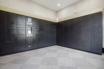 Electronic parcel locker system