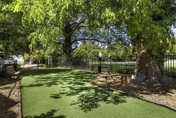 Pet-friendly community with dog park