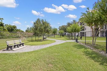 Dog park